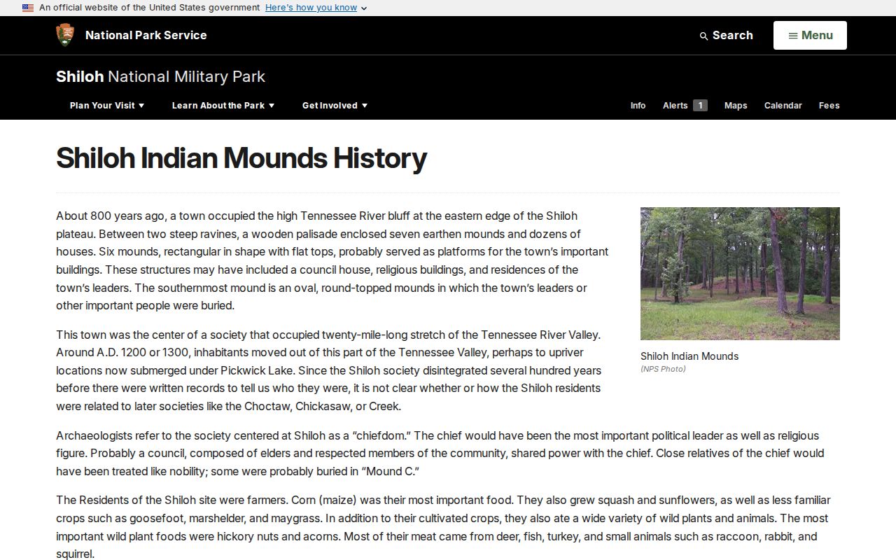 Historic Tennessee River landscape near Saltillo criminal records jurisdiction